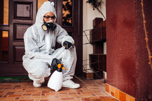 Reliable Wasp Removal contractor in Vadnais Heights, MN by Show Me Pest Control